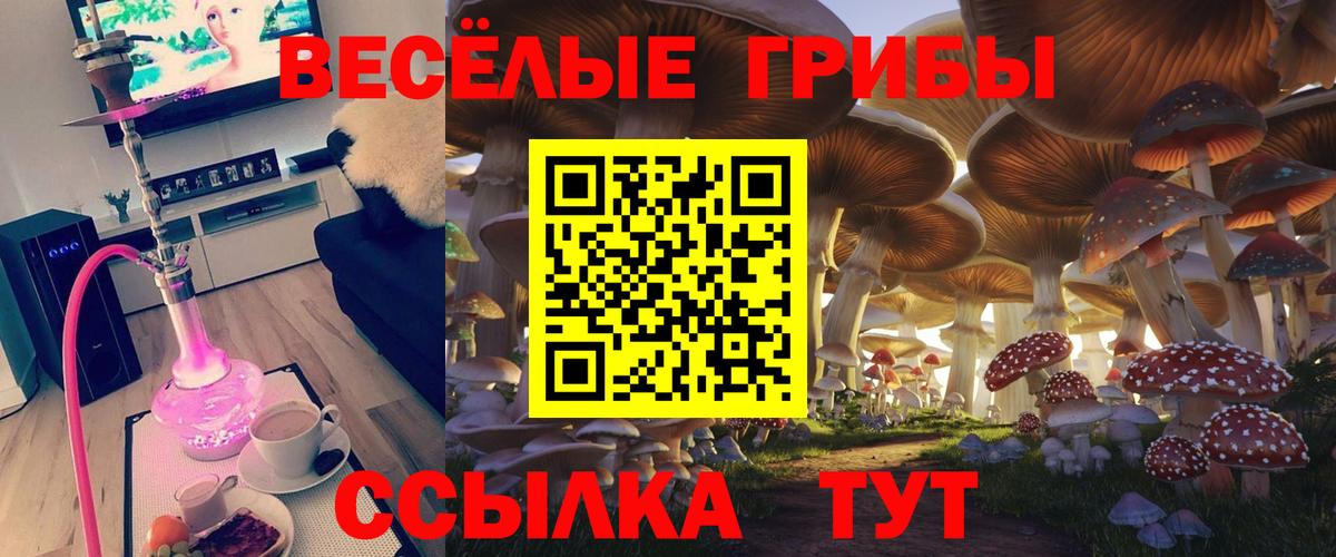 Киржач  Псилоцибиновые грибы мухоморы  Вход с VPN 